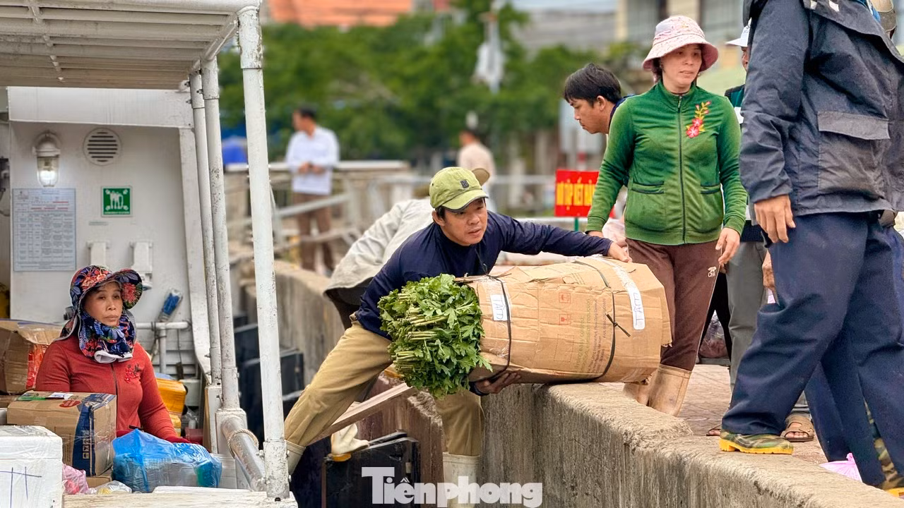 Lãnh đạo Ban Quản lý (BQL) cảng Sa Kỳ cho biết, trong những ngày cao điểm của dịp Tết, BQL cảng sẽ bố trí từ 6 – 12 chuyến tàu ra đảo và ngược lại. Tùy theo lượng bà con về quê, có bao nhiêu BQL thì sẽ bố trí tàu đưa bà con về quê đón Tết
