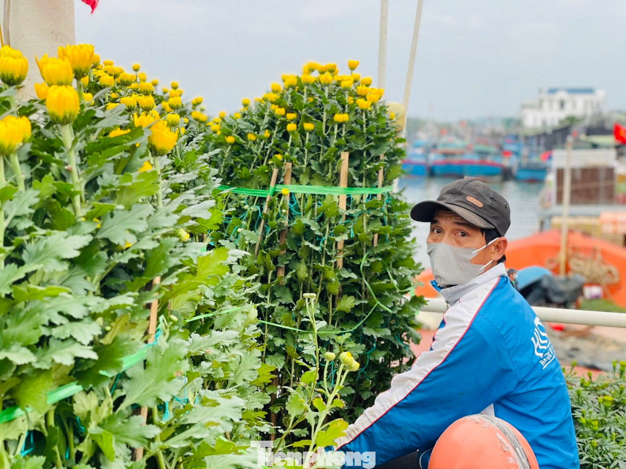 “Tôi tranh thủ những ngày thời tiết thuận lợi, cho tàu chạy hết công suất để chở hàng hóa và hoa ra đảo. Mỗi ngày tàu chạy được một chuyến, mỗi chuyến tàu chở được khoảng 200 tấn hàng hóa và hoa tết ra đảo”, ông Quý chia sẻ.