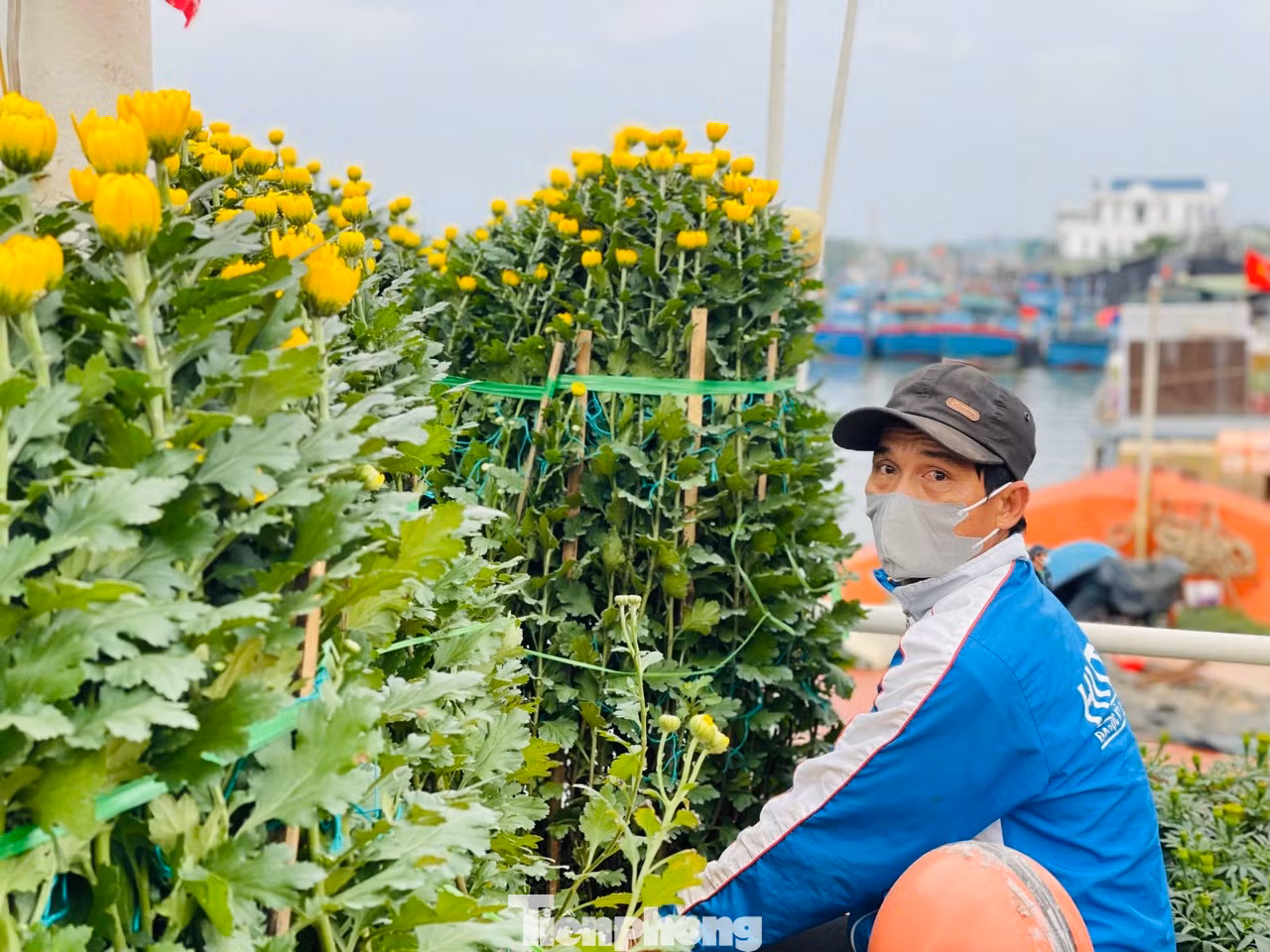 “Tôi tranh thủ những ngày thời tiết thuận lợi, cho tàu chạy hết công suất để chở hàng hóa và hoa ra đảo. Mỗi ngày tàu chạy được một chuyến, mỗi chuyến tàu chở được khoảng 200 tấn hàng hóa và hoa tết ra đảo”, ông Quý chia sẻ.