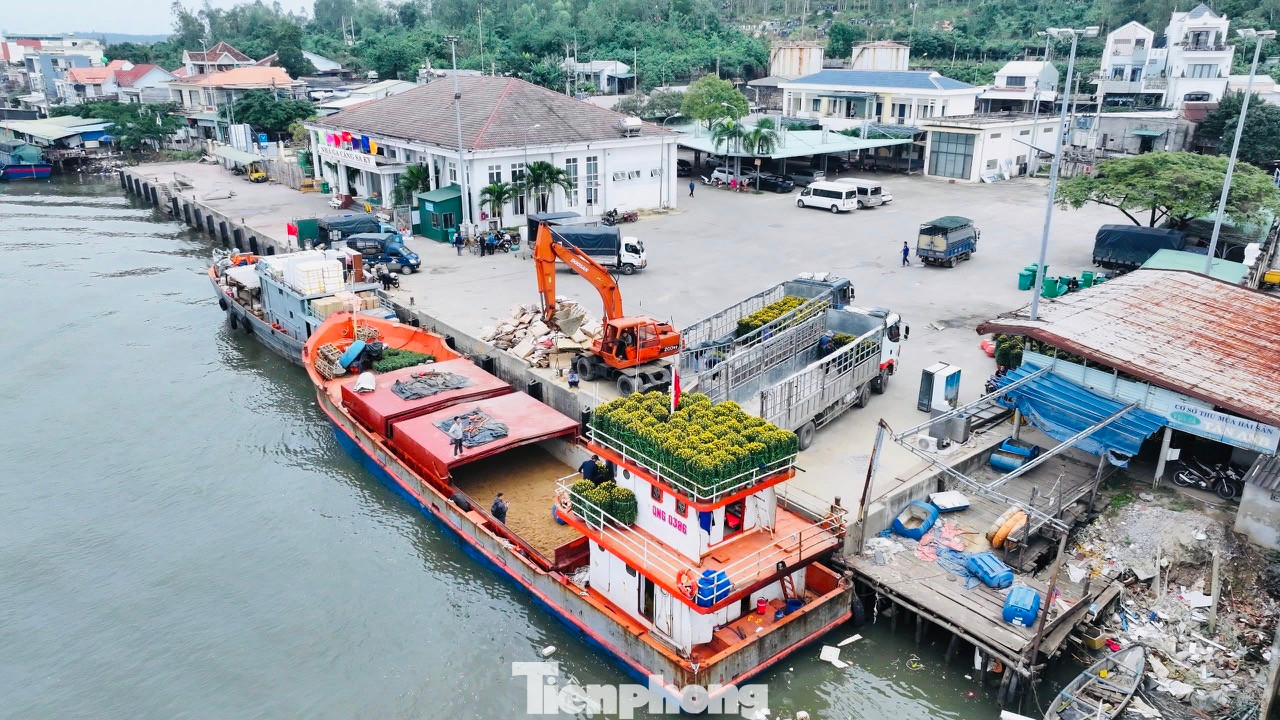 Những ngày này, tại cảng Sa Kỳ (xã Bình Châu, huyện Bình Sơn, tỉnh Quảng Ngãi) từ trên bờ xuống bến cảng, không khí tấp nập, nhộn nhịp hơn so với mọi ngày.
