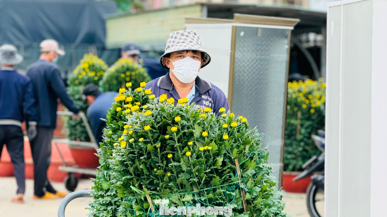 “Bên cạnh đó BQL cũng theo dõi sát sao thời tiết. Nếu trường hợp thời tiết xấu nhất tàu khách không thể chạy, thì tỉnh Quảng Ngãi sẽ đề nghị Cảnh sát biển hỗ trợ đưa bà con về”, lãnh đạo BQL cảng Sa Kỳ nói.