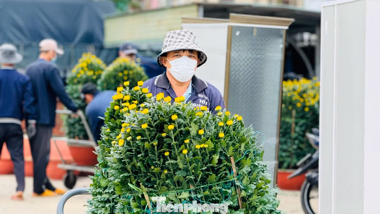“Bên cạnh đó BQL cũng theo dõi sát sao thời tiết. Nếu trường hợp thời tiết xấu nhất tàu khách không thể chạy, thì tỉnh Quảng Ngãi sẽ đề nghị Cảnh sát biển hỗ trợ đưa bà con về”, lãnh đạo BQL cảng Sa Kỳ nói.