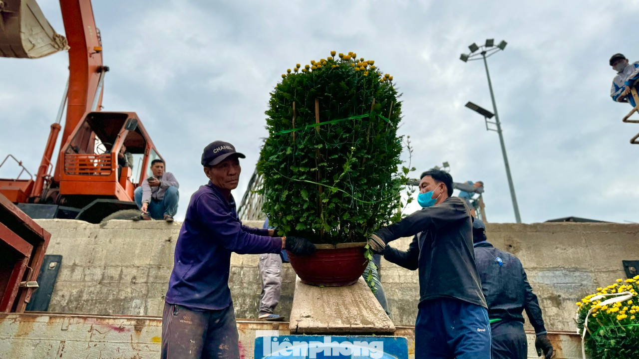 “Khó khăn nhất là việc vận chuyển những chậu hoa cúc, mai, quất vì to, nặng. Công việc vận chuyển đã khó lại vừa phải đảm bảo không làm hư hỏng, gãy cành hoa. Công việc vất vả nhưng bù lại mỗi ngày một công nhân cũng kiếm được từ 400.000 – 500.000 đồng”, anh Nguyễn Văn Huế - công nhân bốc vác tại cảng Sa Kỳ nói.