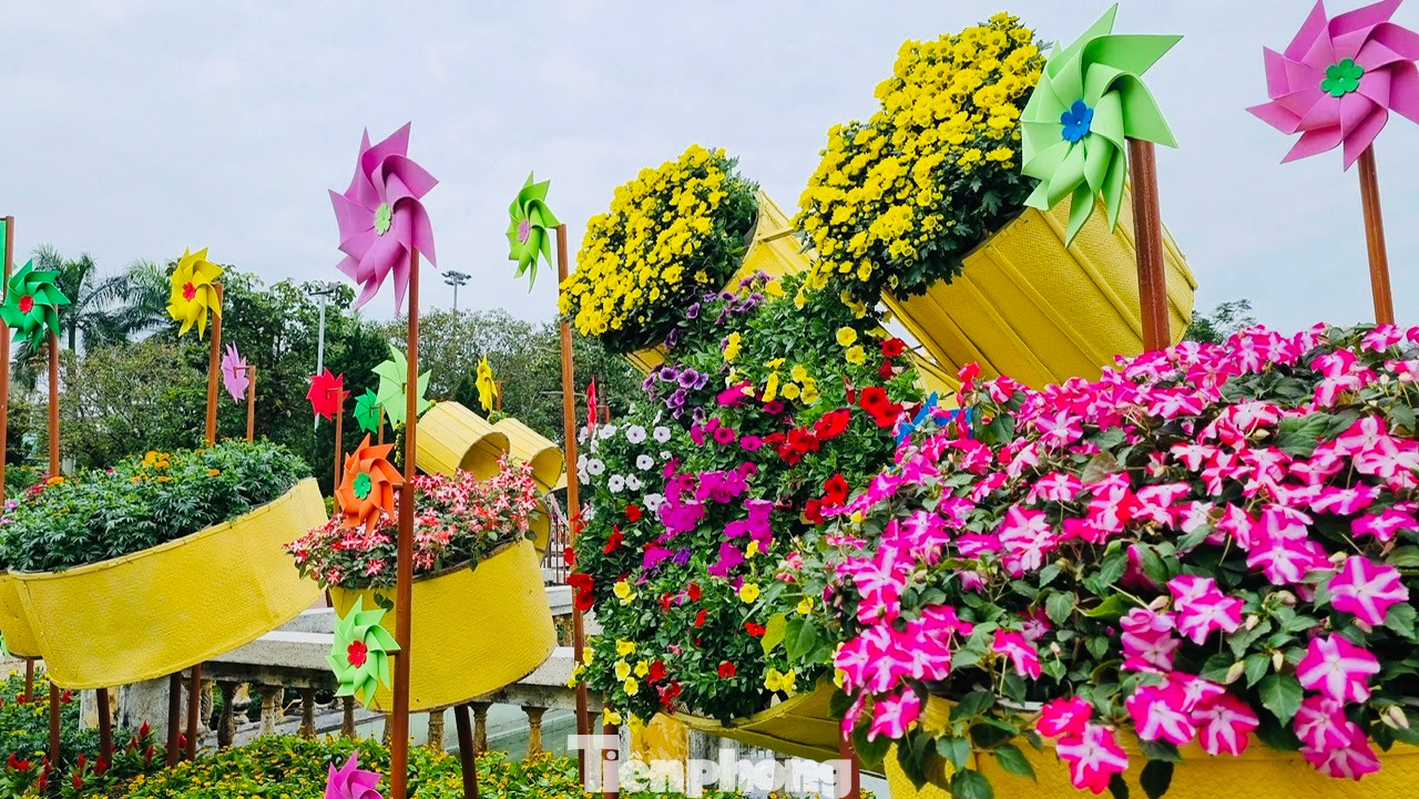 Hàng chục nghìn chậu hoa các loại được nhập về từ Sa Đéc, Đà Lạt hoặc các nhà vườn tại tỉnh Quảng Ngãi để phục vụ việc trang trí.
