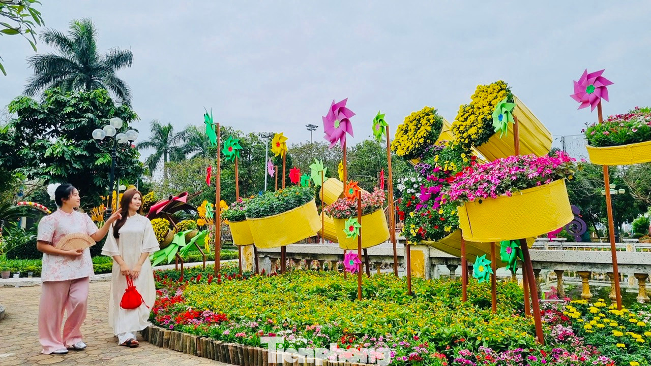 Hàng chục nghìn chậu hoa các loại được nhập về từ Sa Đéc, Đà Lạt hoặc các nhà vườn tại tỉnh Quảng Ngãi để phục vụ việc trang trí.