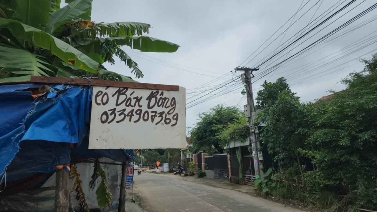 Thị trường ảm đạm, sức mua giảm, nhiều người trồng hoa treo biển và số điện thoại chờ thương lái