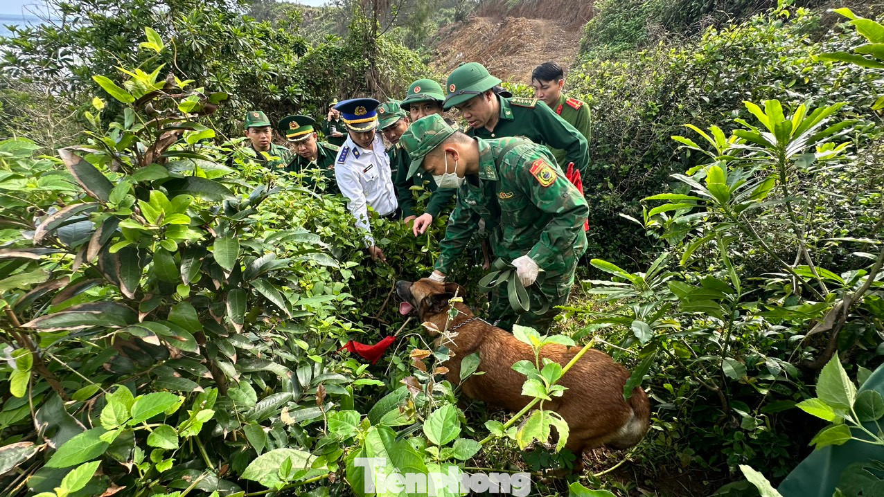 Lực lượng chức năng dùng chó nghiệp vụ tìm kiếm ma túy. Lực lượng chức năng dùng chó nghiệp vụ tìm kiếm ma túy.