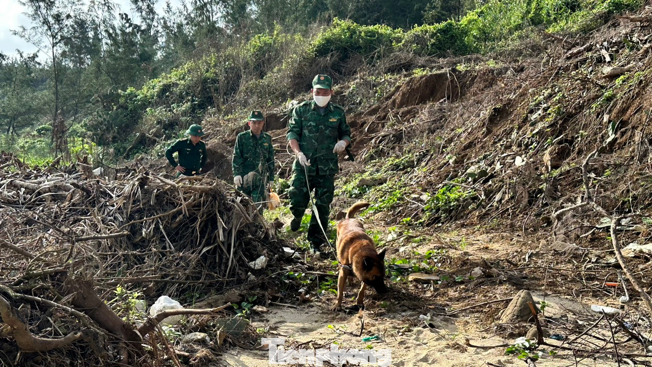 Lực lượng chức năng dùng chó nghiệp vụ tìm kiếm ma túy. Lực lượng chức năng dùng chó nghiệp vụ tìm kiếm ma túy.