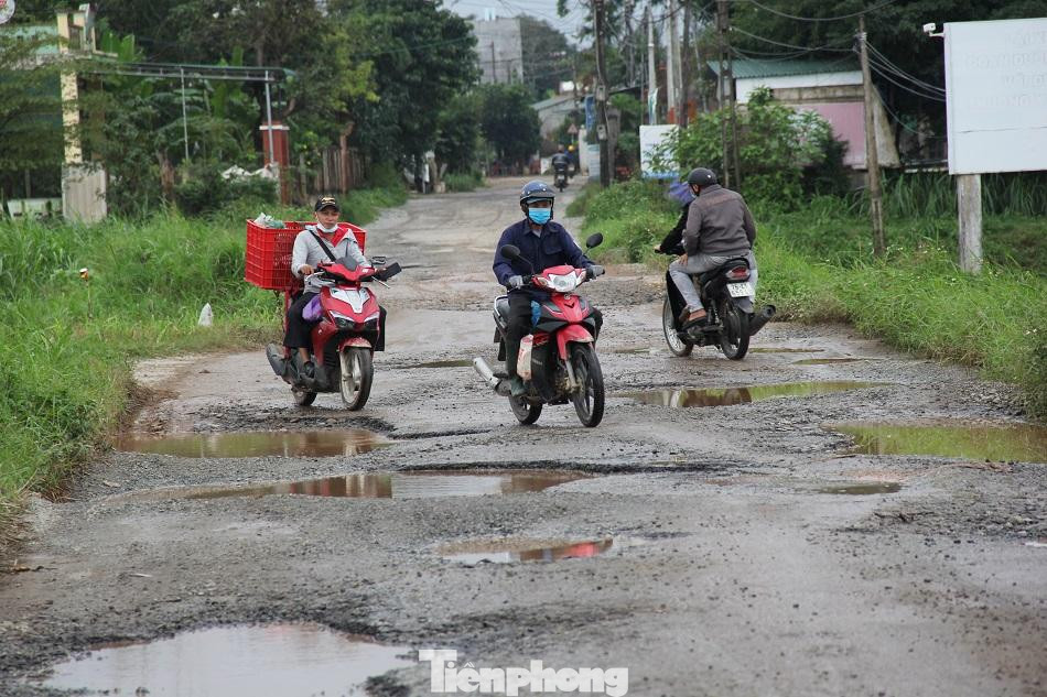 Ảnh: Nguyễn Ngọc