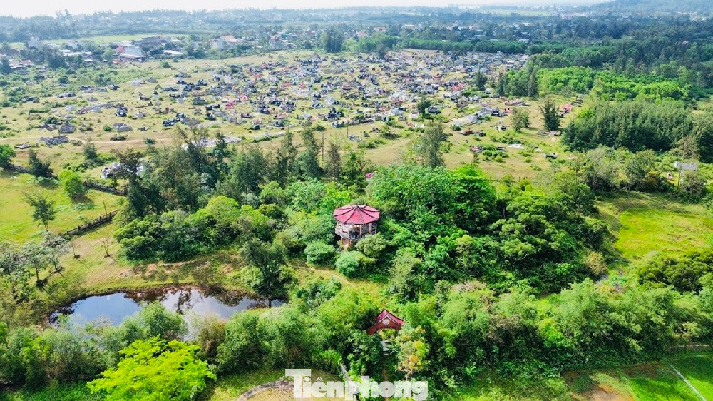 Công viên Hoà Bình - Mỹ Lai do tổ chức Madison Quakers, Inc (MQI), tiền thân là tổ chức hỗ trợ Đông Dương tài trợ và được UBND tỉnh Quảng Ngãi cho phép thực hiện từ năm 1998, trên phần diện tích hơn 15.000 m2 tại thôn Mỹ Lai (xã Tịnh Khê, TP Quảng Ngãi).