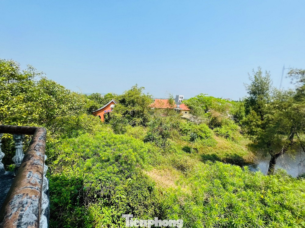 Tuy nhiên trên thực tế lại bị bỏ hoang suốt hàng chục năm qua.