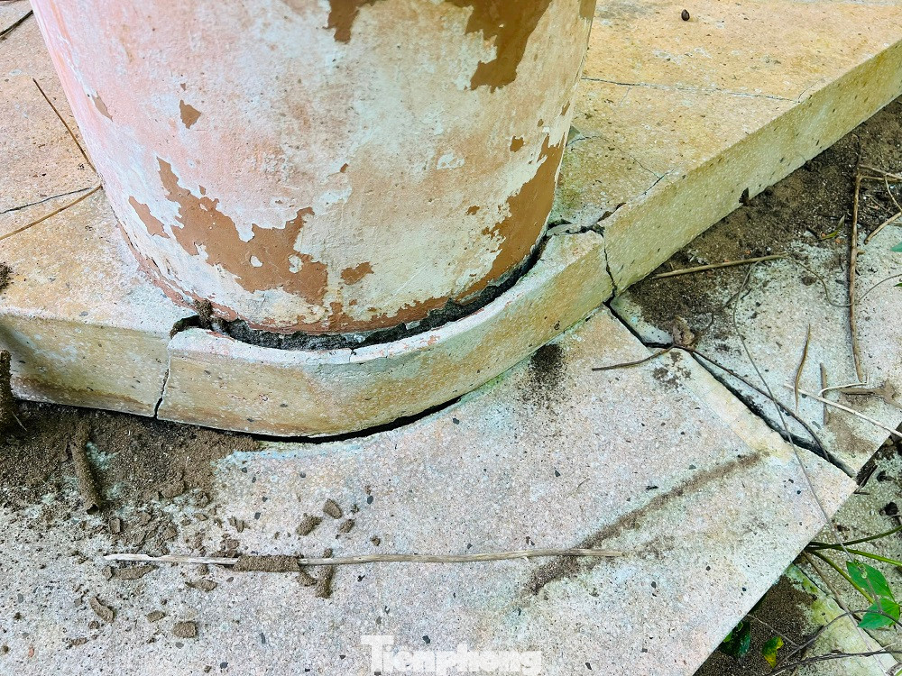 Ông Võ Minh Chính - Chủ tịch UBND xã Tịnh Khê thừa nhận công viên Hòa Bình - Mỹ Lai đã bị bỏ không trong thời gian dài. Địa phương nhiều lần báo cáo và kiến nghị lên UBND TP Quảng Ngãi về việc bàn giao lại công viên Hòa Bình - Mỹ Lai cho một đơn vị khác có chức năng quản lý, khai thác hợp lý hơn.