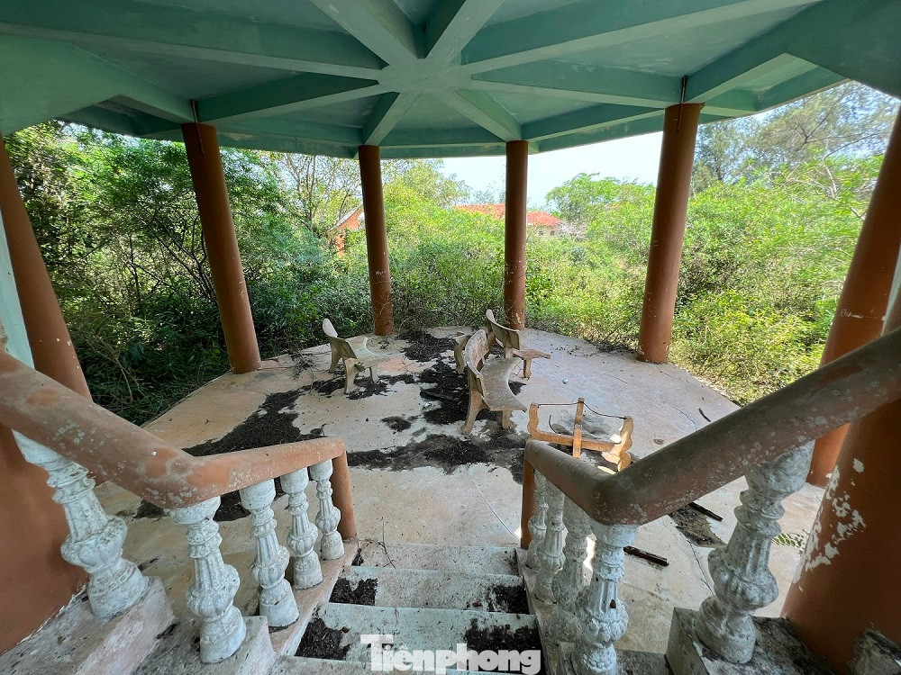 Công viên Hòa Bình - Mỹ Lai được các cựu binh Mỹ đóng góp xây dựng nhằm hàn gắn vết thương, tội ác chiến tranh bởi làng quê này đã gánh chịu nhiều đau thương trong vụ thảm sát Sơn Mỹ năm 1968.