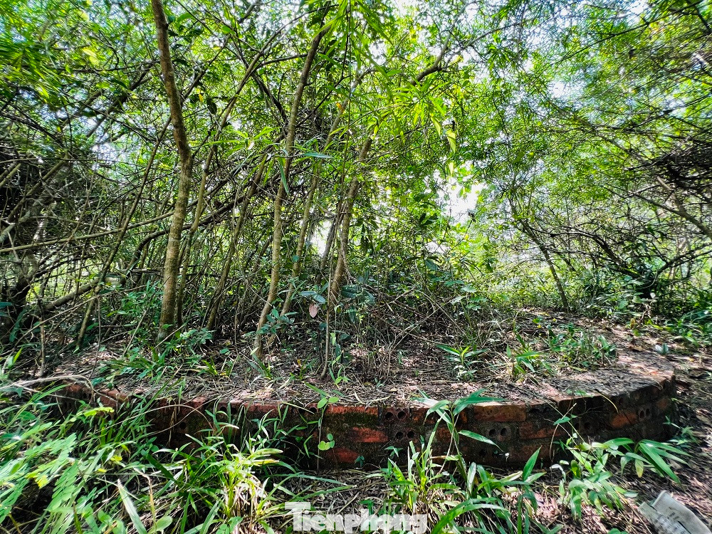 Sau khi xây dựng, công viên Hòa Bình - Mỹ Lai thuộc sự quản lý của Phòng Văn hóa - Thông tin huyện Sơn Tịnh. Năm 2012, huyện Sơn Tịnh thống nhất giao cho UBND xã Tịnh Khê quản lý, bảo quản và sử dụng. Bên cạnh đó, huyện cấp cho xã mỗi tháng 500.000 đồng để chăm nom, giữ vệ sinh công viên.