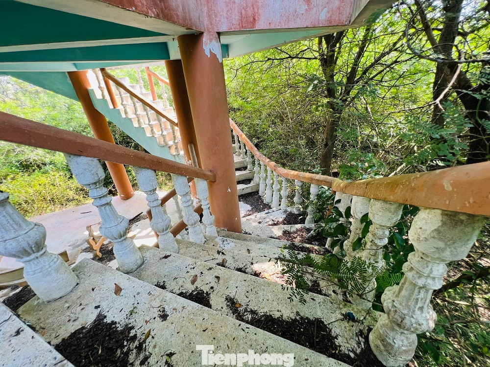 Ông Phùng Văn Tám (66 tuổi, trú thôn Tư Cung, xã Tịnh Khê, TP Quảng Ngãi) cho biết công viên được đầu tư xây dựng với số tiền rất lớn. Thời gian đầu còn có nhiều học sinh hay ra vào đó chơi. Bây giờ cỏ dại mọc um tùm, không còn ai lui tới.