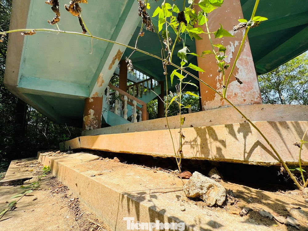 “Hiện nay UBND TP Quảng Ngãi đã tiếp nhận ý kiến của địa phương và đang hoàn tất các thủ tục để bàn giao lại cho Sở VH-TT&amp;DL tỉnh quản lý công viên Hòa Bình - Mỹ Lai”, ông Chính nói thêm.