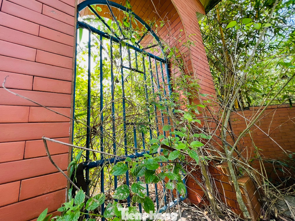 Từ ngoài cổng cho đến bên trong khuôn viên, cỏ dại mọc um tùm làm cho cảnh quan nơi đây trở nên nhếch nhác.