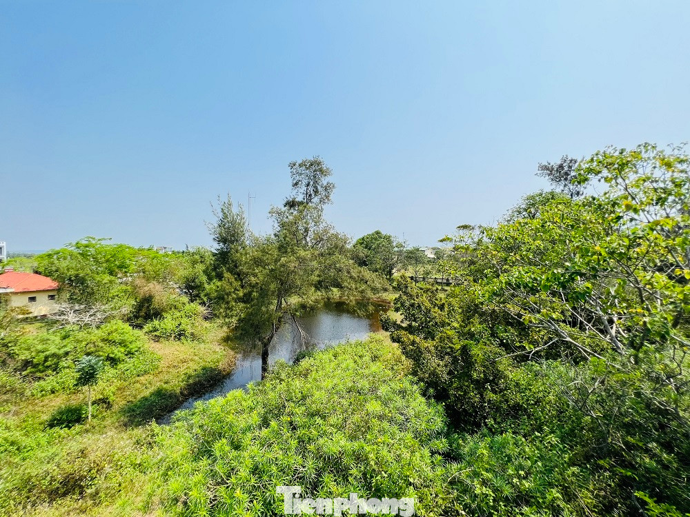 Theo ghi nhận của PV, phía bên trong công viên, đài vọng cảnh bong tróc, loang lổ. Cây cối không ai cắt tỉa, chăm sóc nên mọc um tùm, nhếch nhác. Các công trình phụ khác như nhà vệ sinh, giếng nước… đều đã xuống cấp nghiêm trọng.