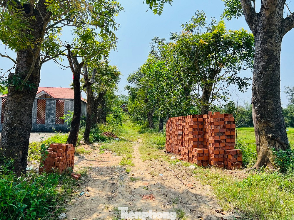 Liên quan đến vấn đề này, UBND TP Quảng Ngãi đã có văn bản giao các đơn vị trực thuộc rà soát, tham mưu bàn giao hồ sơ, thủ tục của công viên Hòa Bình - Mỹ Lai cho Sở VH-TT&DL tỉnh Quảng Ngãi tiếp nhận, quản lý theo quy định.