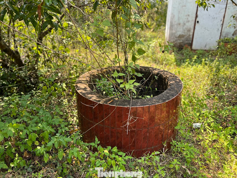 Tuy nhiên, sau khi tiếp nhận công trình, vì không có kinh phí, xã Tịnh Khê không thể thực hiện đầu tư, khai thác hiệu quả công viên. Địa phương chỉ quản lý, bảo vệ các công trình và cây cối hiện có.