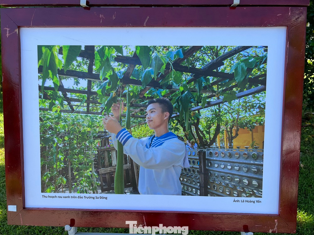 Hàng trăm bức ảnh chân thực đầy ấn tượng Hàng trăm bức ảnh chân thực đầy ấn tượng