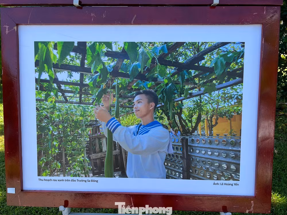 Hàng trăm bức ảnh chân thực đầy ấn tượng