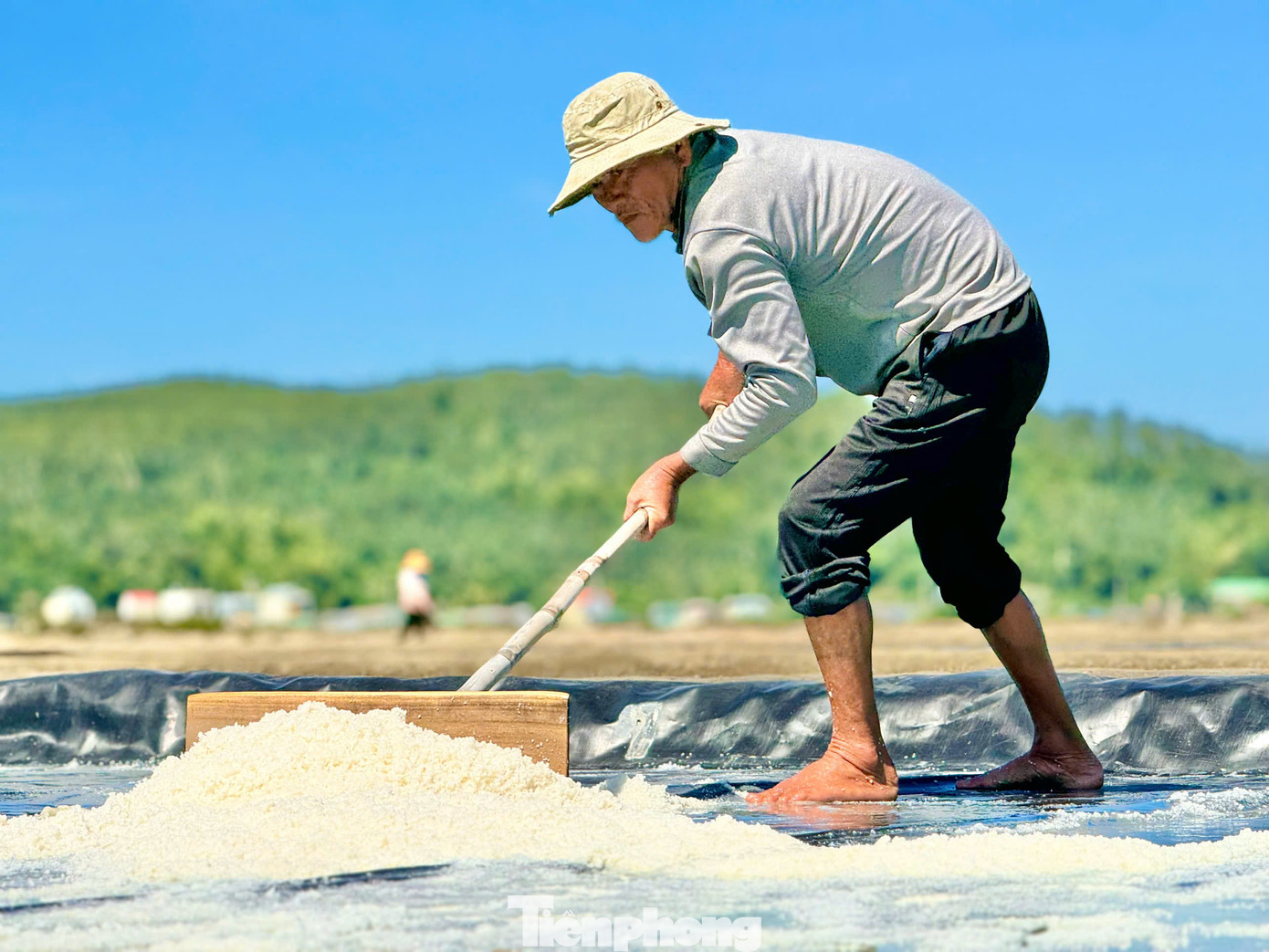 Đưa tay quệt những giọt mồ hôi, ông Ngô Tuấn (62 tuổi, có hơn 35 năm trong nghề làm muối ở phường Phổ Thạnh, thị xã Đức Phổ) cho biết, diêm dân ở đây bắt đầu công việc từ sáng sớm. Đầu tiên cho nước biển vào ô, phơi dưới nắng khoảng 2 - 3 ngày để muối kết tinh rồi cào, xúc. Công việc lặp lại đều đặn suốt 3 - 4 tháng mùa khô. Ông Tuấn cho biết thêm: "Công việc này chủ yếu phụ thuộc vào thời tiết, trời càng nắng hạt muối kết tinh nhanh và mẻ muối làm ra càng trắng, chất lượng, nếu bất chợt có mưa trong ngày thì coi như bỏ làm lại". Ảnh: Nguyễn Ngọc.