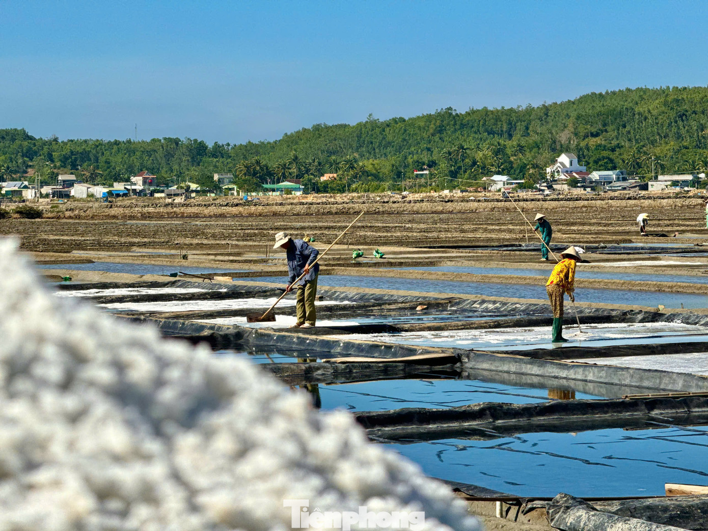Ngày 10/12/2024, Bộ VH - TT&amp;DL đã ban hành Quyết định số 3983, công nhận nghề thủ công truyền thống Nghề làm Muối Sa Huỳnh (phường Phổ Thạnh, thị xã Đức Phổ) trở thành Di sản văn hóa phi vật thể quốc gia. Ảnh: Nguyễn Ngọc.
