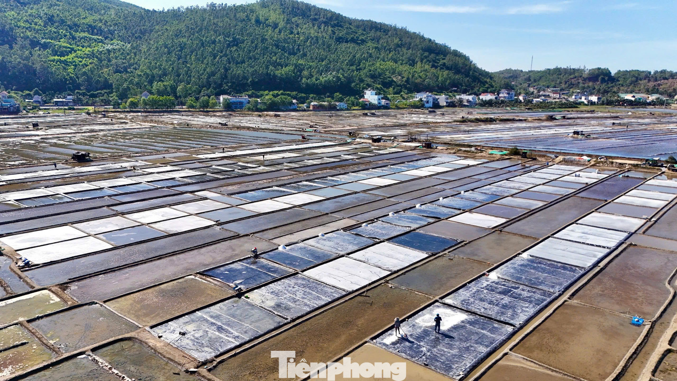 Hiện nay ở cánh đồng muối Sa Huỳnh có khoảng 500 hộ diêm dân thuộc 3 tổ dân phố: Tân Diêm, Long Thạnh 1, Thạnh Đức 1 theo nghề làm muối. Hằng năm, cánh đồng muối Sa Huỳnh cung cấp khoảng 6.500 - 7.000 tấn muối phục vụ cho khu vực miền Trung - Tây nguyên. Ảnh: Nguyễn Ngọc.