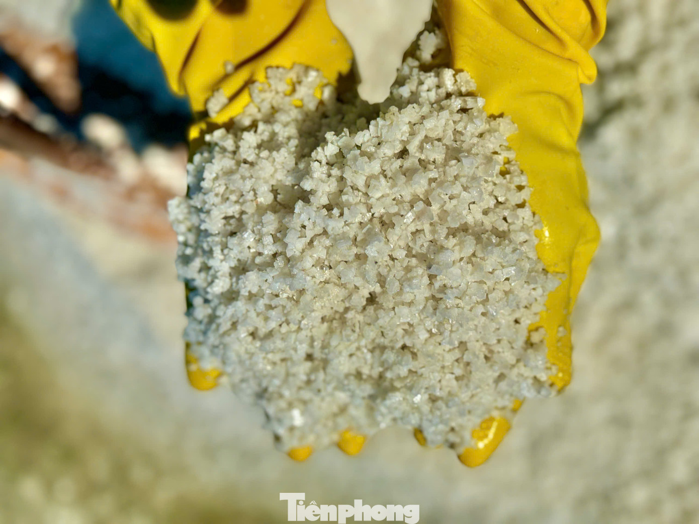 Người dân cào muối. Ảnh: Nguyễn Ngọc.