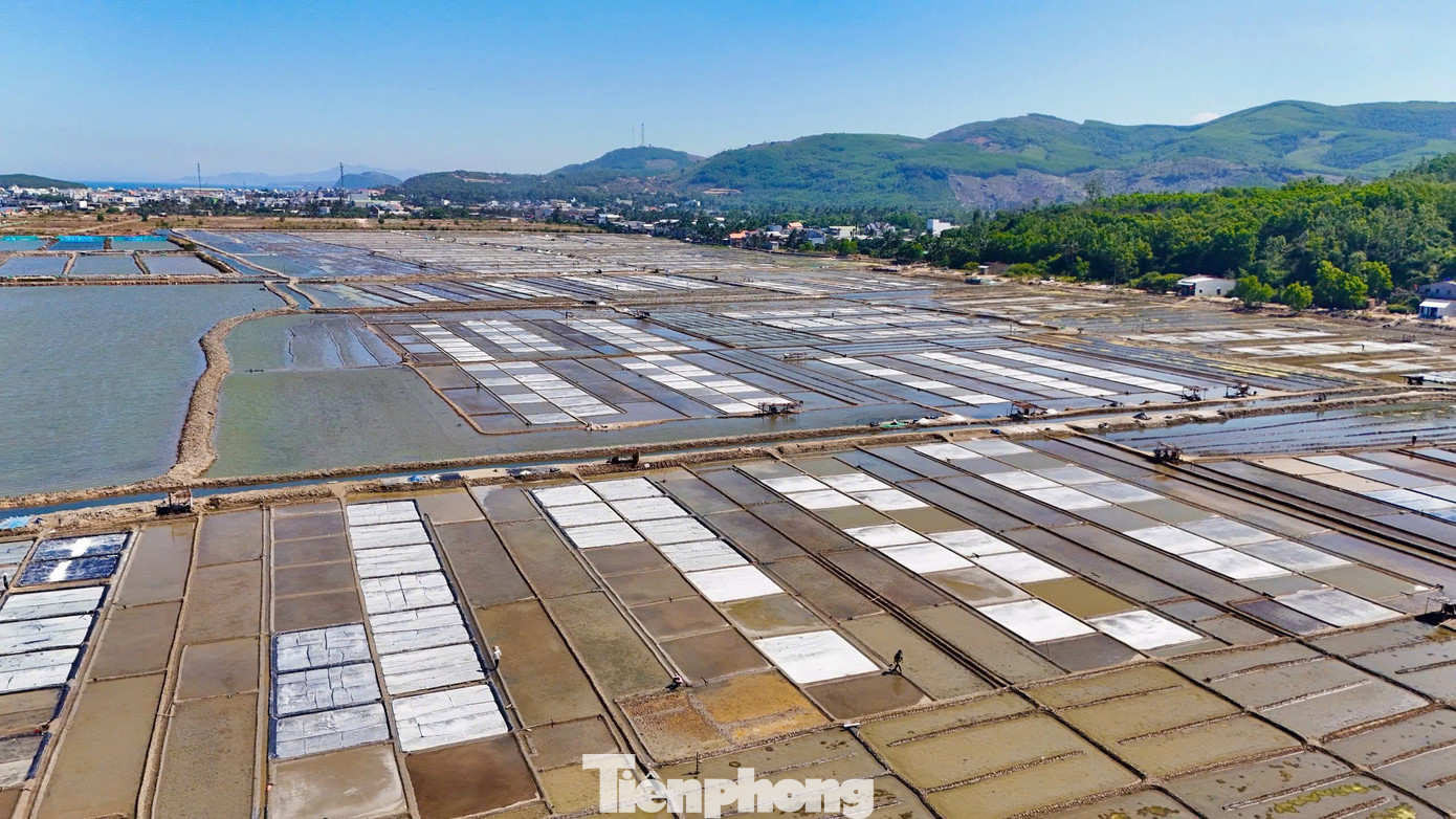 Nằm ở duyên hải miền Trung, cánh đồng muối Sa Huỳnh (phường Phổ Thạnh, thị xã Đức Phổ, tỉnh Quảng Ngãi) là vựa muối quan trọng và lớn nhất dải đất ven biển Nam Trung Bộ, tổng diện tích khoảng 110ha. Trải qua hơn 200 năm hình thành và tồn tại đã được người dân phát triển thành một làng nghề truyền thống, với giá trị không hề thua kém những làng nghề muối nổi tiếng khác của miền Trung như Cà Ná hay Hòn Khói. Ảnh: Nguyễn Ngọc.