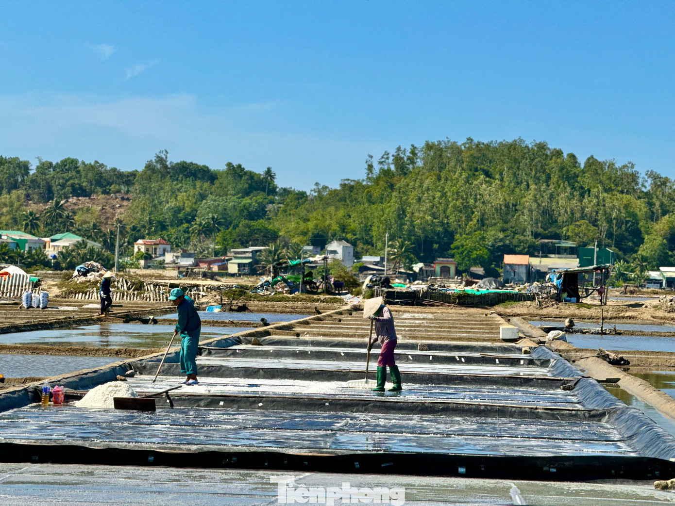 Ngày 10/12/2024, Bộ VH - TT&amp;DL đã ban hành Quyết định số 3983, công nhận nghề thủ công truyền thống Nghề làm Muối Sa Huỳnh (phường Phổ Thạnh, thị xã Đức Phổ) trở thành Di sản văn hóa phi vật thể quốc gia. Ảnh: Nguyễn Ngọc.