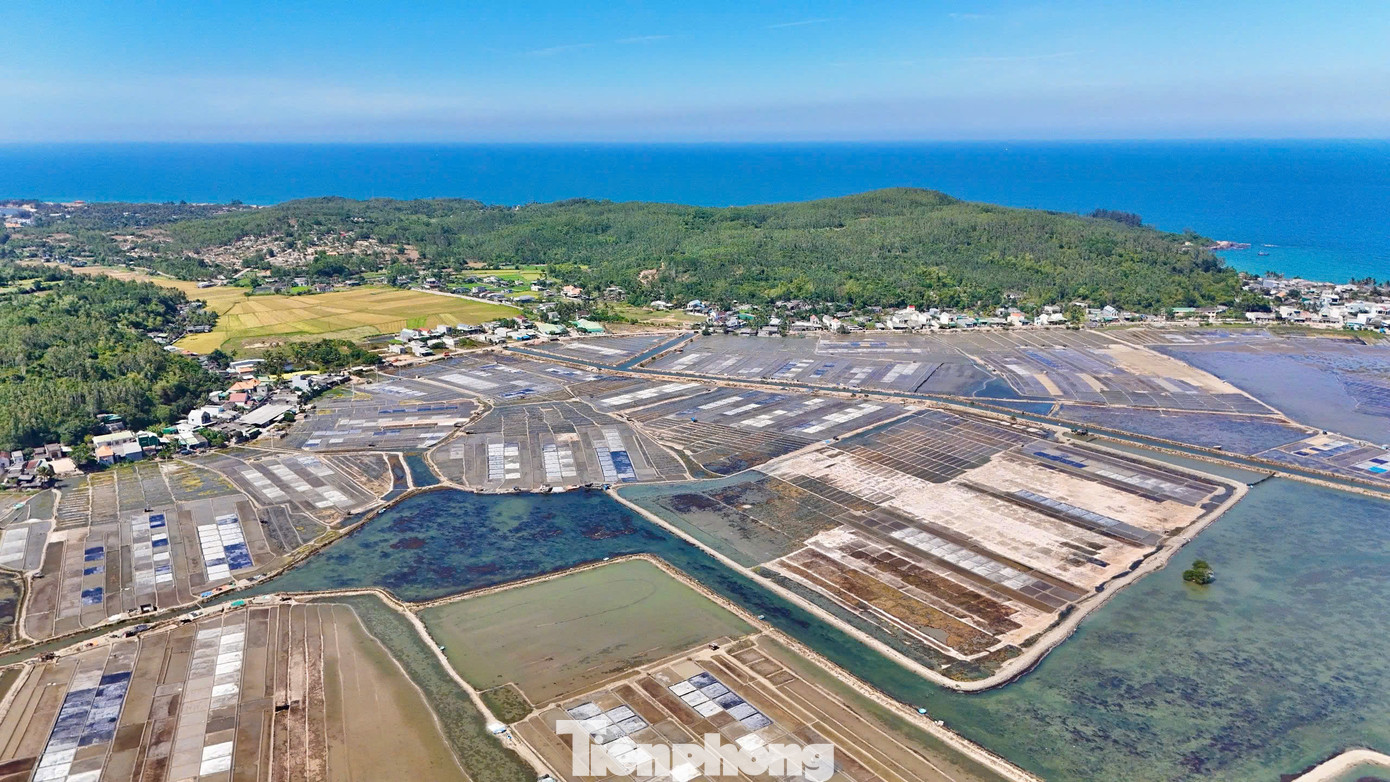 Nằm ở duyên hải miền Trung, cánh đồng muối Sa Huỳnh (phường Phổ Thạnh, thị xã Đức Phổ, tỉnh Quảng Ngãi) là vựa muối quan trọng và lớn nhất dải đất ven biển Nam Trung Bộ, tổng diện tích khoảng 110ha. Trải qua hơn 200 năm hình thành và tồn tại đã được người dân phát triển thành một làng nghề truyền thống, với giá trị không hề thua kém những làng nghề muối nổi tiếng khác của miền Trung như Cà Ná hay Hòn Khói. Ảnh: Nguyễn Ngọc.