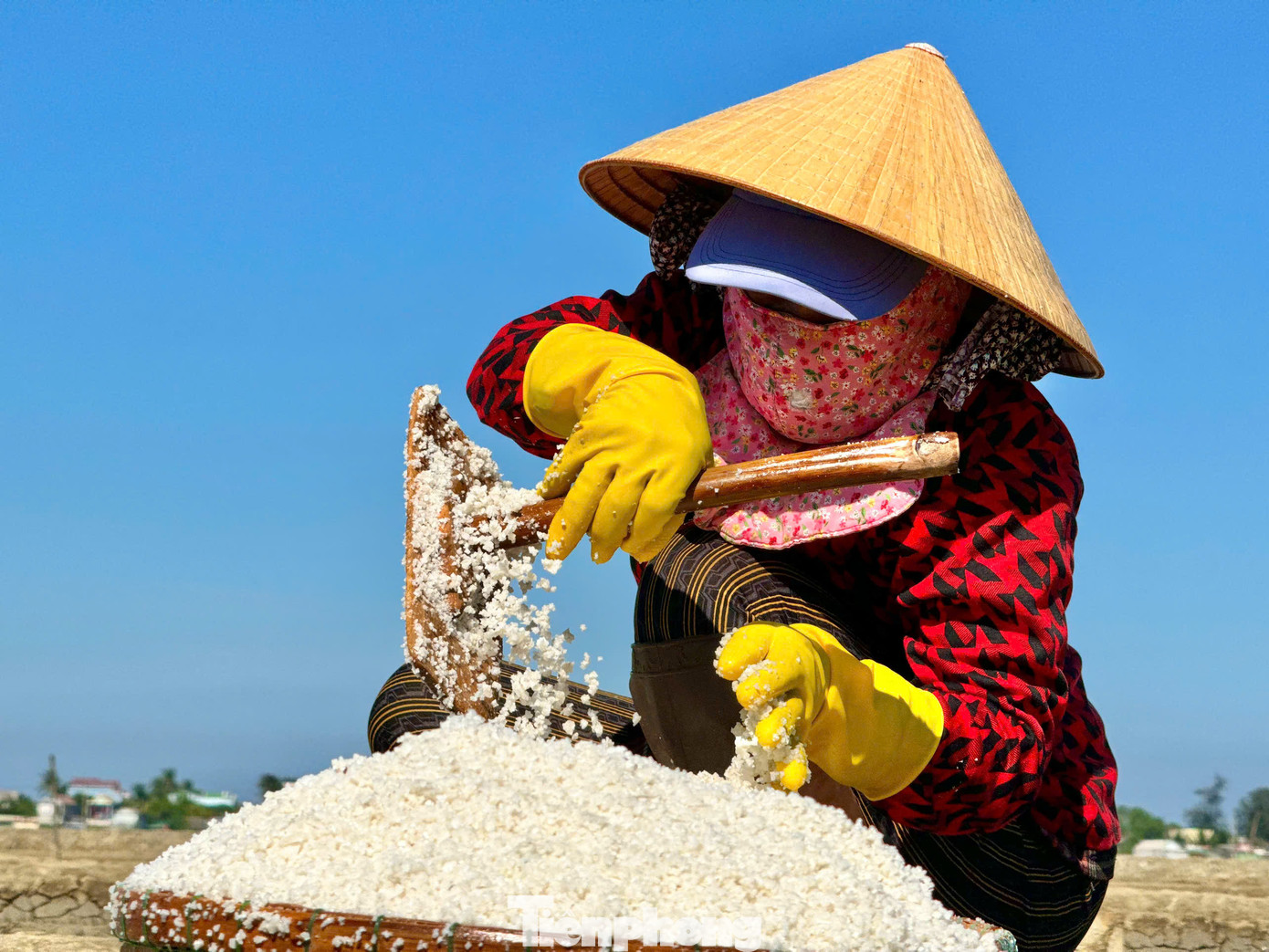 Hiện giá muối dao động từ 1.000 - 1.100 đồng/kg. Cứ 2-3 ngày thu hoạch một lần, mỗi ô cho khoảng 1 tạ muối (100kg) bán được 120.000 đồng. Ảnh: Nguyễn Ngọc.