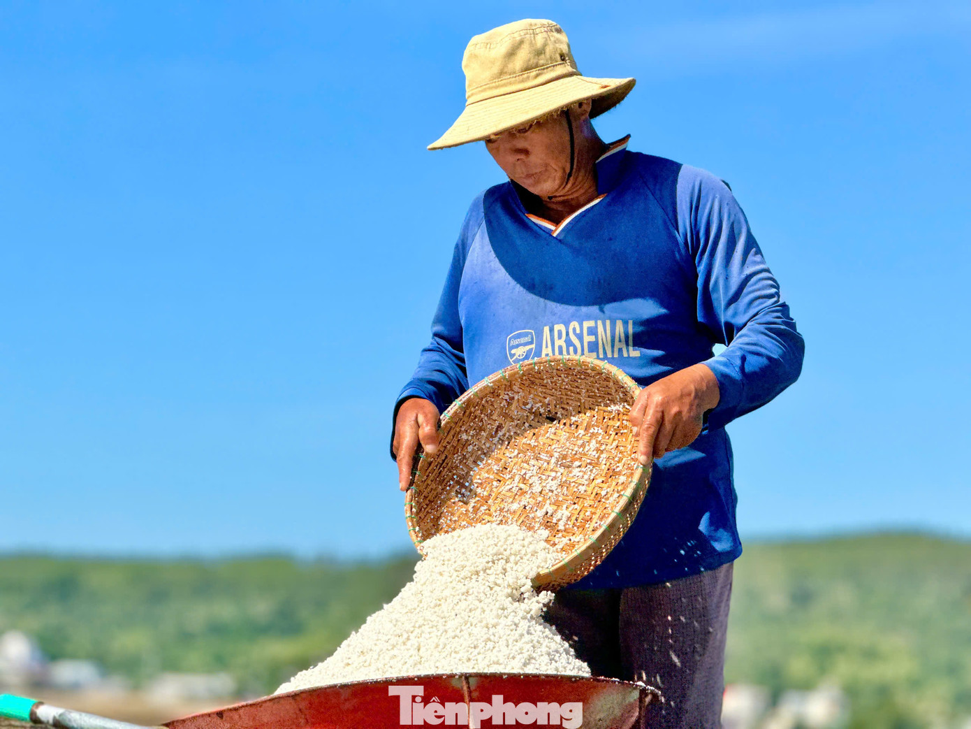 Hiện giá muối dao động từ 1.000 - 1.100 đồng/kg. Cứ 2-3 ngày thu hoạch một lần, mỗi ô cho khoảng 1 tạ muối (100kg) bán được 120.000 đồng. Ảnh: Nguyễn Ngọc.