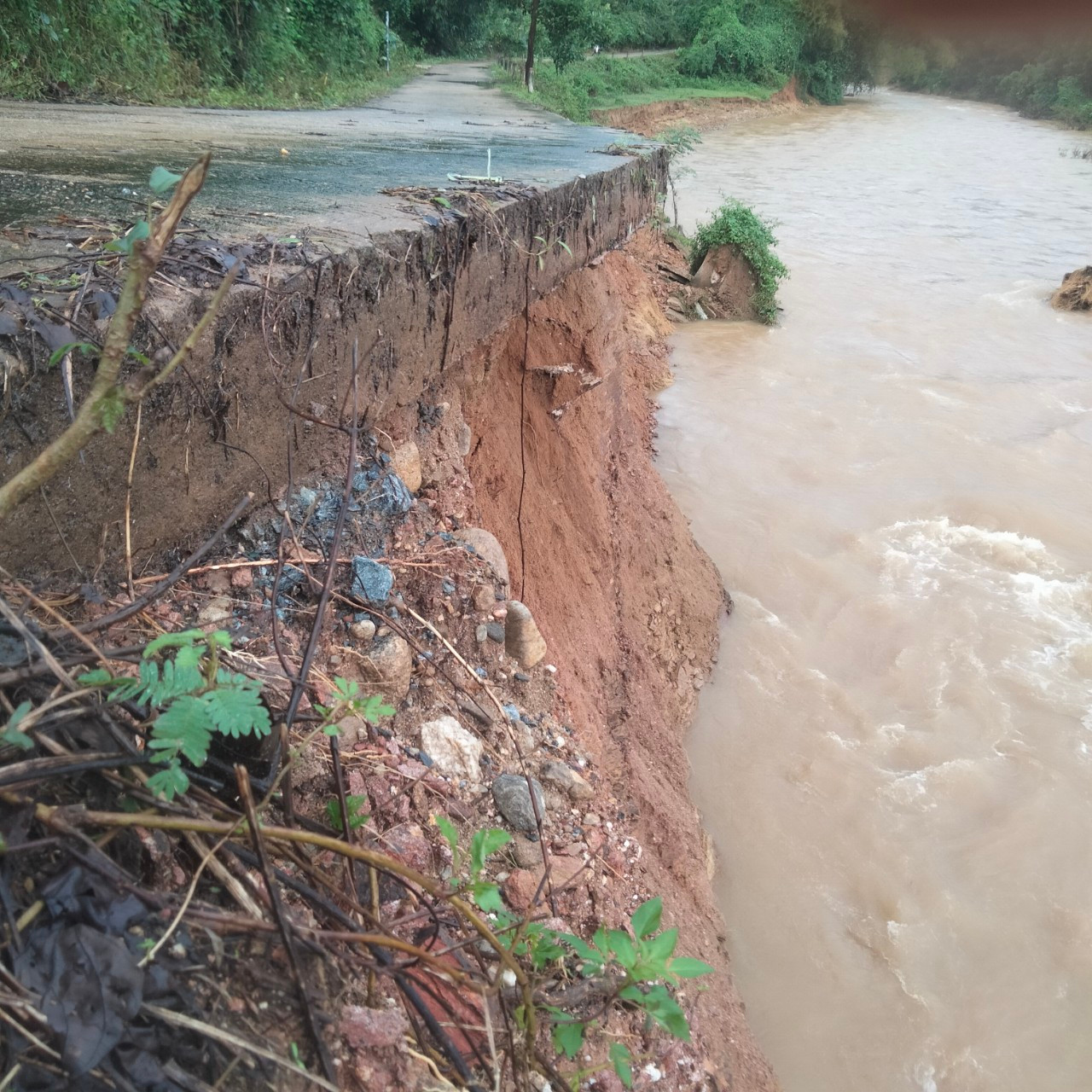 Tuyến đường Sơn Bao đi hồ Nước Trong (huyện Sơn Hà) xuất hiện tình trạng sạt lở bờ ta luy.