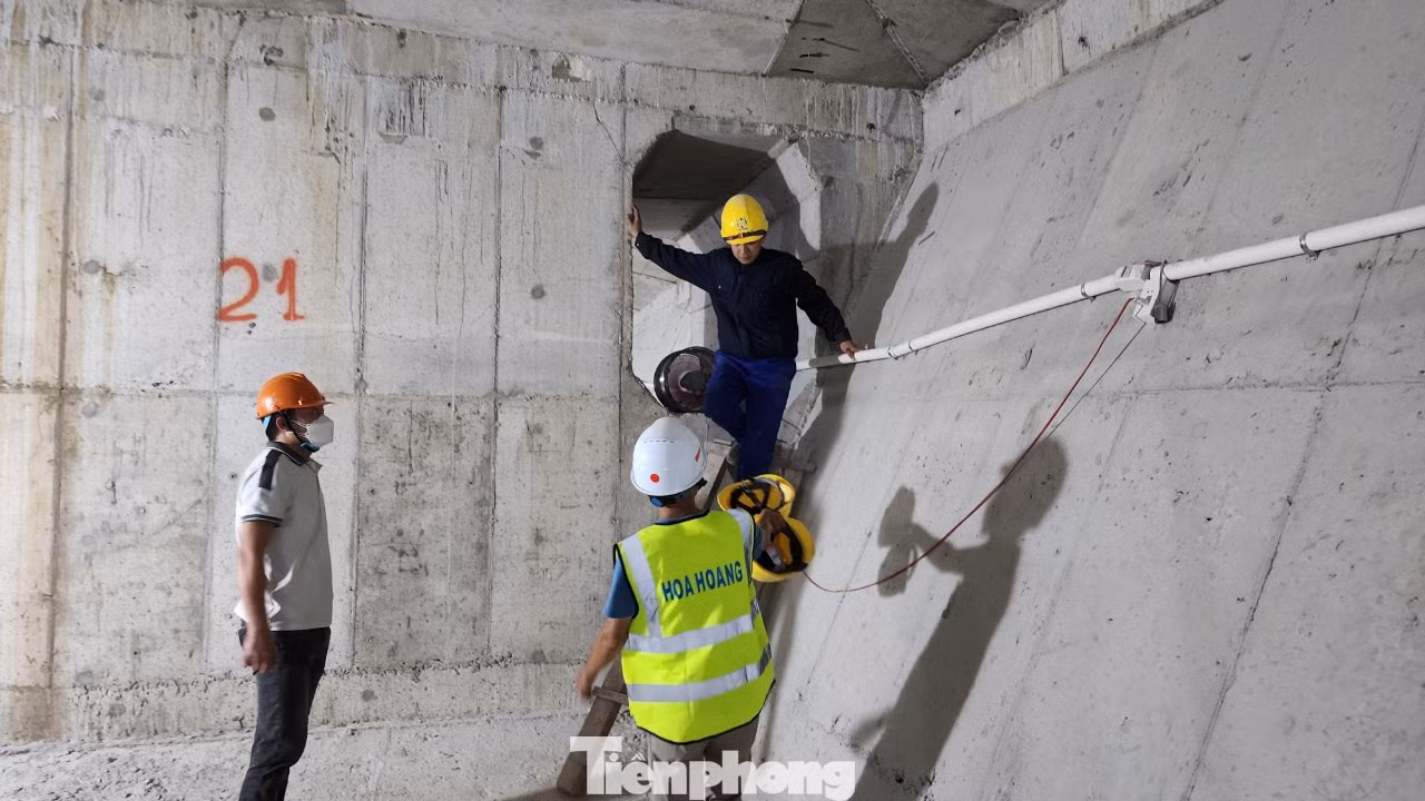 Lối ra vào duy nhất giữa các nhịp dầm là các lỗ thông trên vách ngăn.