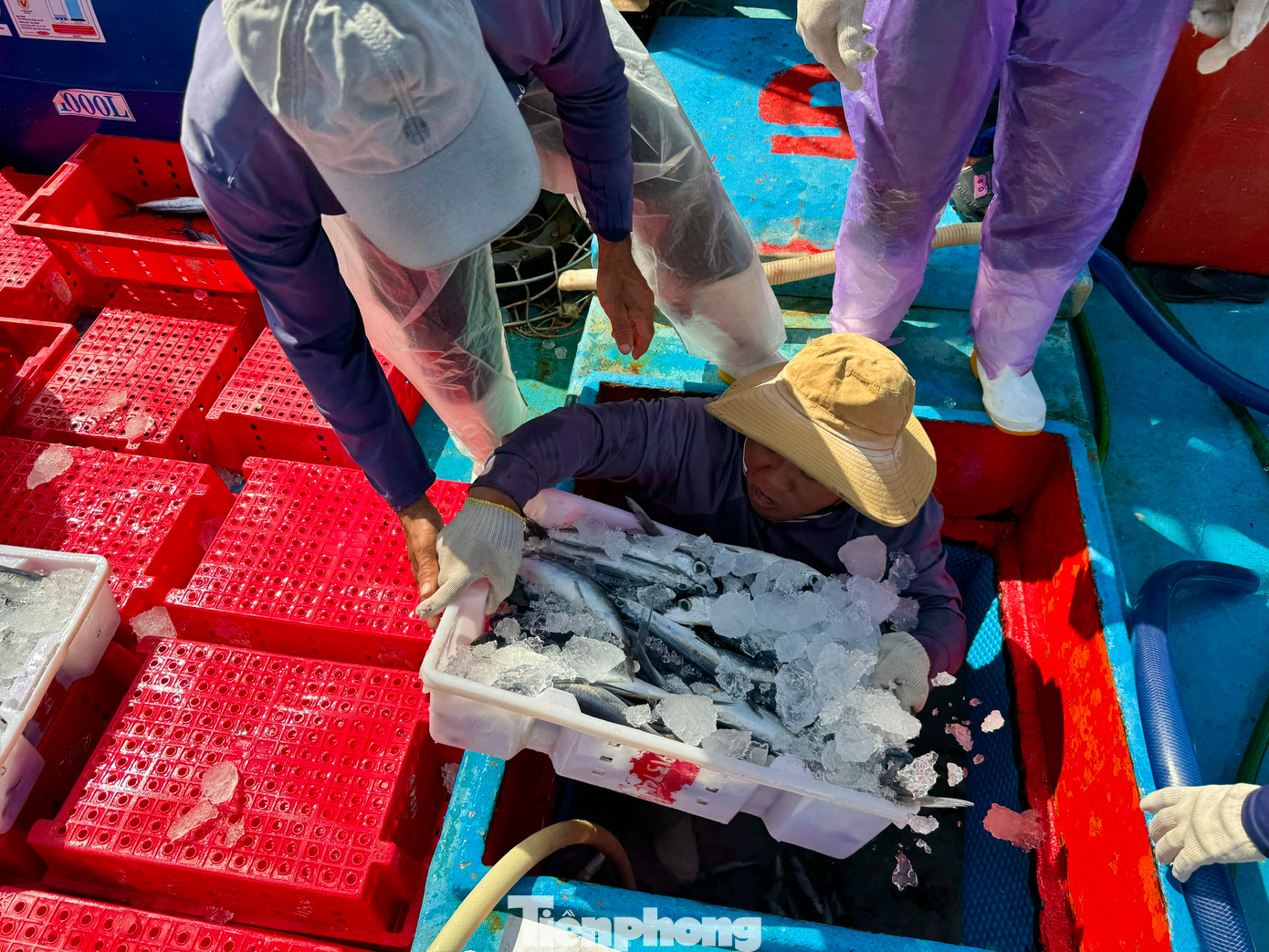 Nhiều tàu đã phải bỏ dở phiên biển, hối hả trở về cảng để tranh thủ bán cá chạy bão. Nhiều tàu đã phải bỏ dở phiên biển, hối hả trở về cảng để tranh thủ bán cá chạy bão.