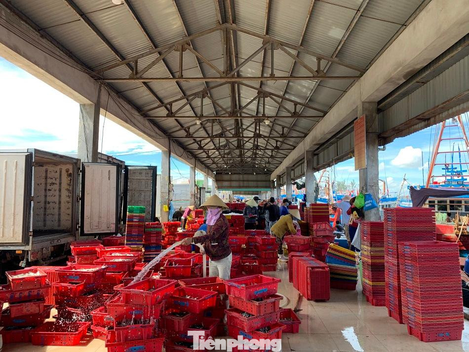 Cảng cá Tịnh Kỳ, TP Quảng Ngãi.