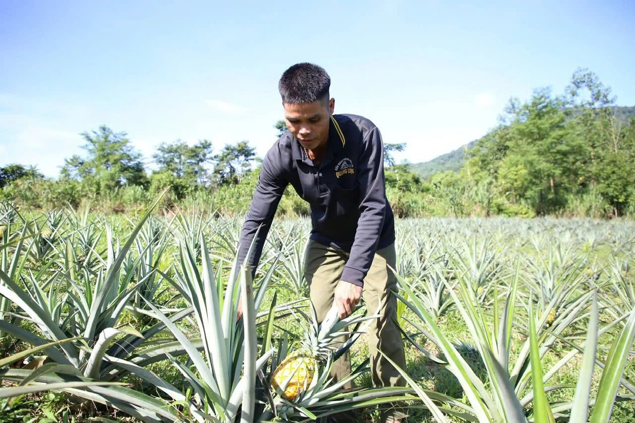 Chương trình mục tiêu quốc gia giảm nghèo bền vững đã góp phần tạo chuyển biến tích cực trong phát triển kinh tế - xã hội của Quảng Ngãi. Chương trình mục tiêu quốc gia giảm nghèo bền vững đã góp phần tạo chuyển biến tích cực trong phát triển kinh tế - xã hội của Quảng Ngãi.