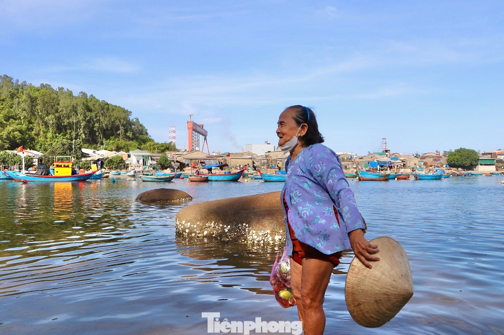 Suốt 8 năm qua, bất kể mưa nắng, bà Út Chất đã nuôi nấng đàn khỉ hoang ở Hòn Trà. Ảnh: Nguyễn Ngọc