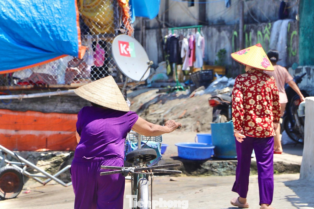 Suốt 8 năm qua, bất kể mưa nắng, bà Út Chất đã nuôi nấng đàn khỉ hoang ở Hòn Trà. Ảnh: Nguyễn Ngọc