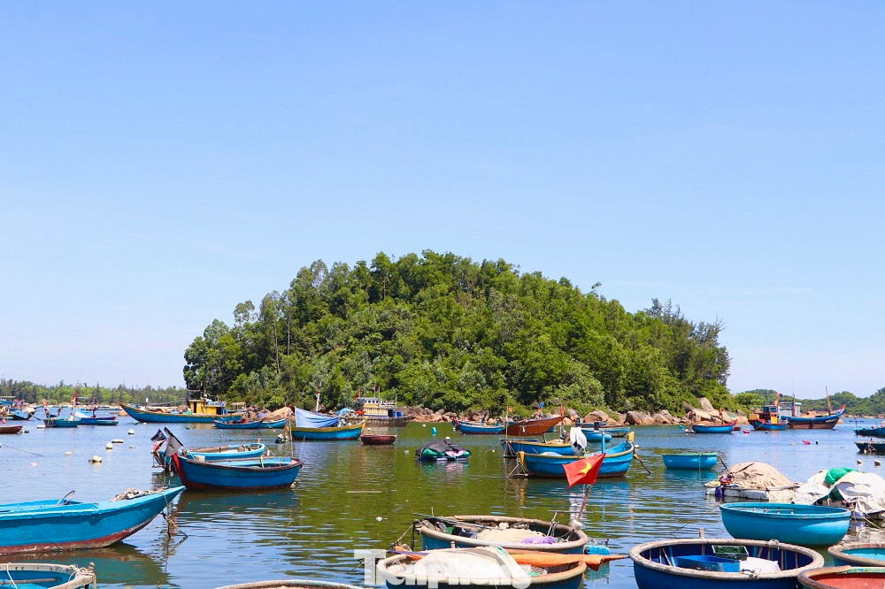 Suốt 8 năm qua, bất kể mưa nắng, bà Út Chất đã nuôi nấng đàn khỉ hoang ở Hòn Trà. Ảnh: Nguyễn Ngọc