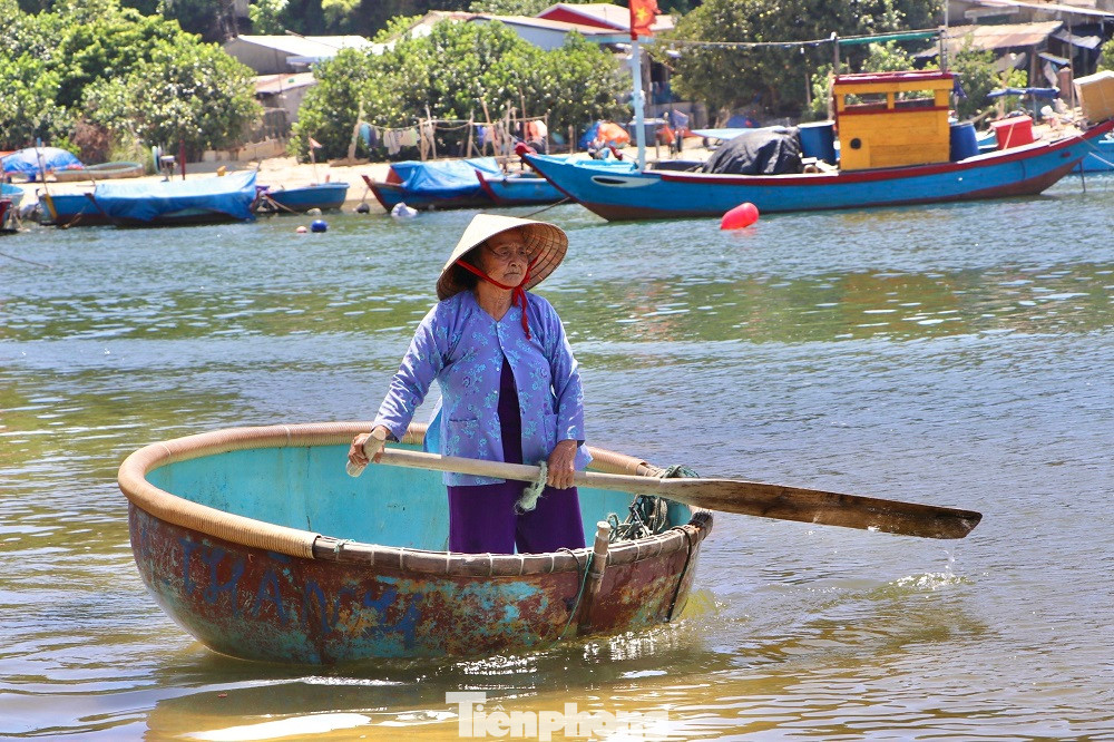 Hiện đàn khỉ này đang được cụ bà Nguyễn Thị Chất (80 tuổi, trú thôn Sơn Trà) ngày ngày cho ăn và chăm sóc. (Ảnh: Nguyễn Ngọc)