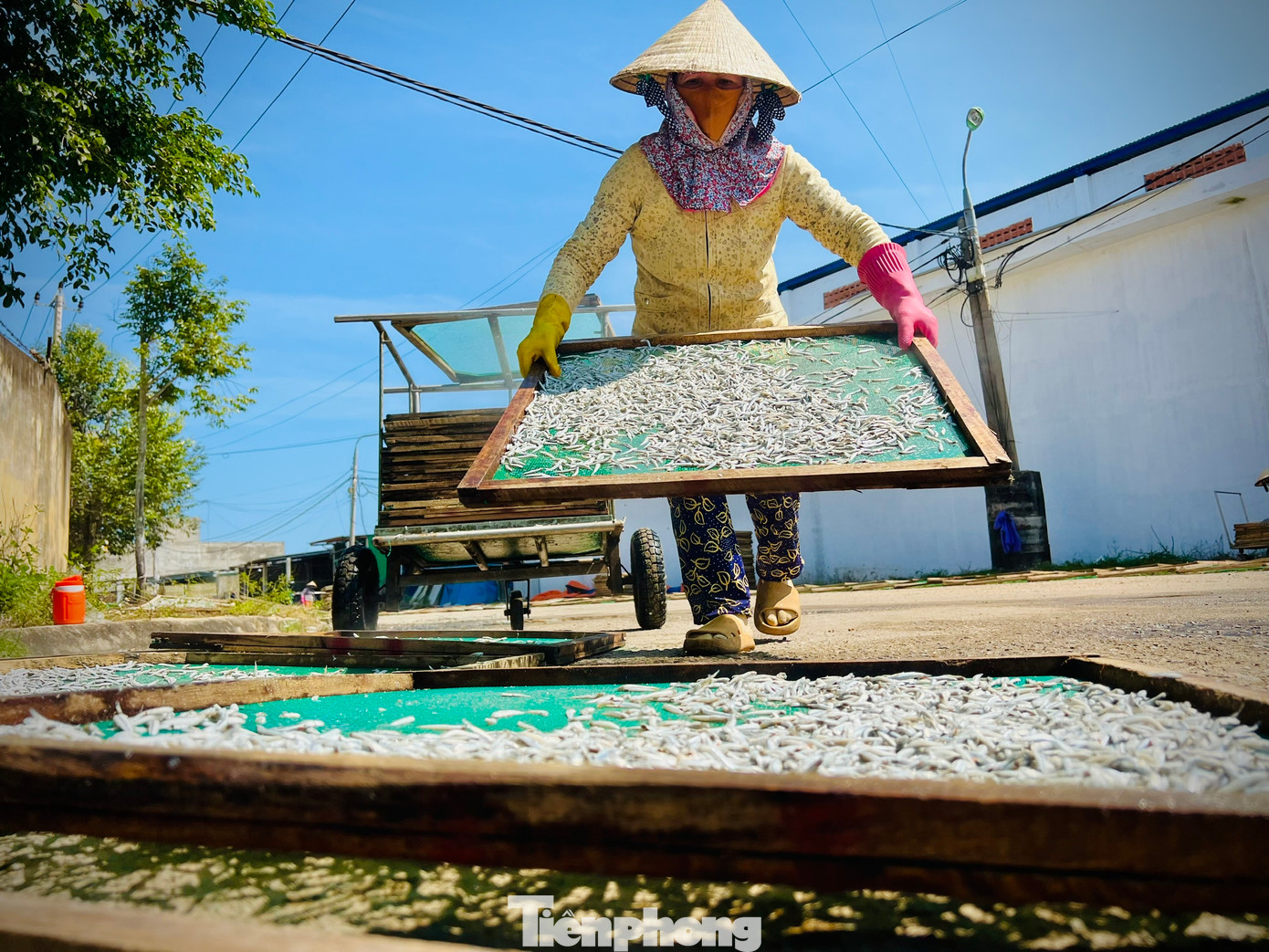 Trung bình một ngày, mỗi lao động ở đây có thu nhập từ 100-300 ngàn đồng. Ảnh: Nguyễn Ngọc