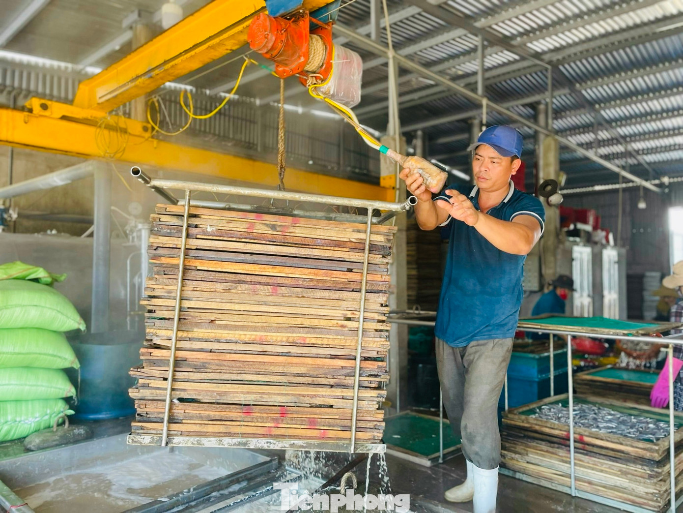 Phần lớn cá cơm sau khi được đánh bắt sẽ được các cơ sở hấp cá trong và ngoài địa phương thu mua để làm cá cơm khô. Ảnh: Nguyễn Ngọc.