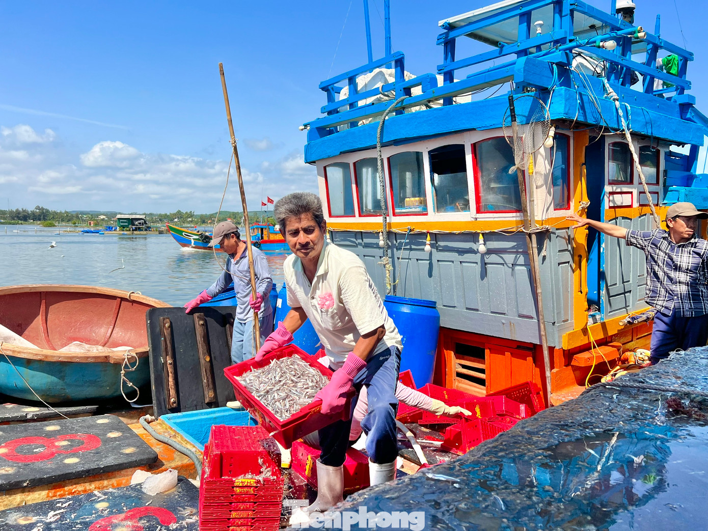 Theo các ngư dân ở Tịnh Kỳ, khoảng 16h, các tàu đánh bắt cá cơm sẽ nổ máy vươn khơi cách bờ khoảng 12- 15 hải lý. Trung bình sau một đêm, mỗi tàu khai thác được 7 - 10 tấn cá cơm, cá biệt có tàu trúng gần 20 tấn. Với giá từ 10.000 đồng - 20.000 đồng/kg, tùy vào chất lượng cá mà mỗi tàu thu về từ vài chục triệu đến cả trăm triệu đồng. Ảnh: Nguyễn Ngọc.