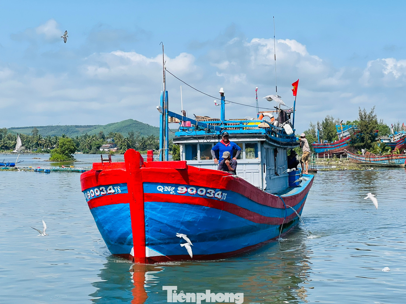 Gặp được nhiều luồng cá cơm, nên hầu hết các tàu đều bội thu. Được mùa cá cơm, giá bán cũng ổn định, khiến ngư dân rất phấn khởi. Ảnh: Nguyễn Ngọc.