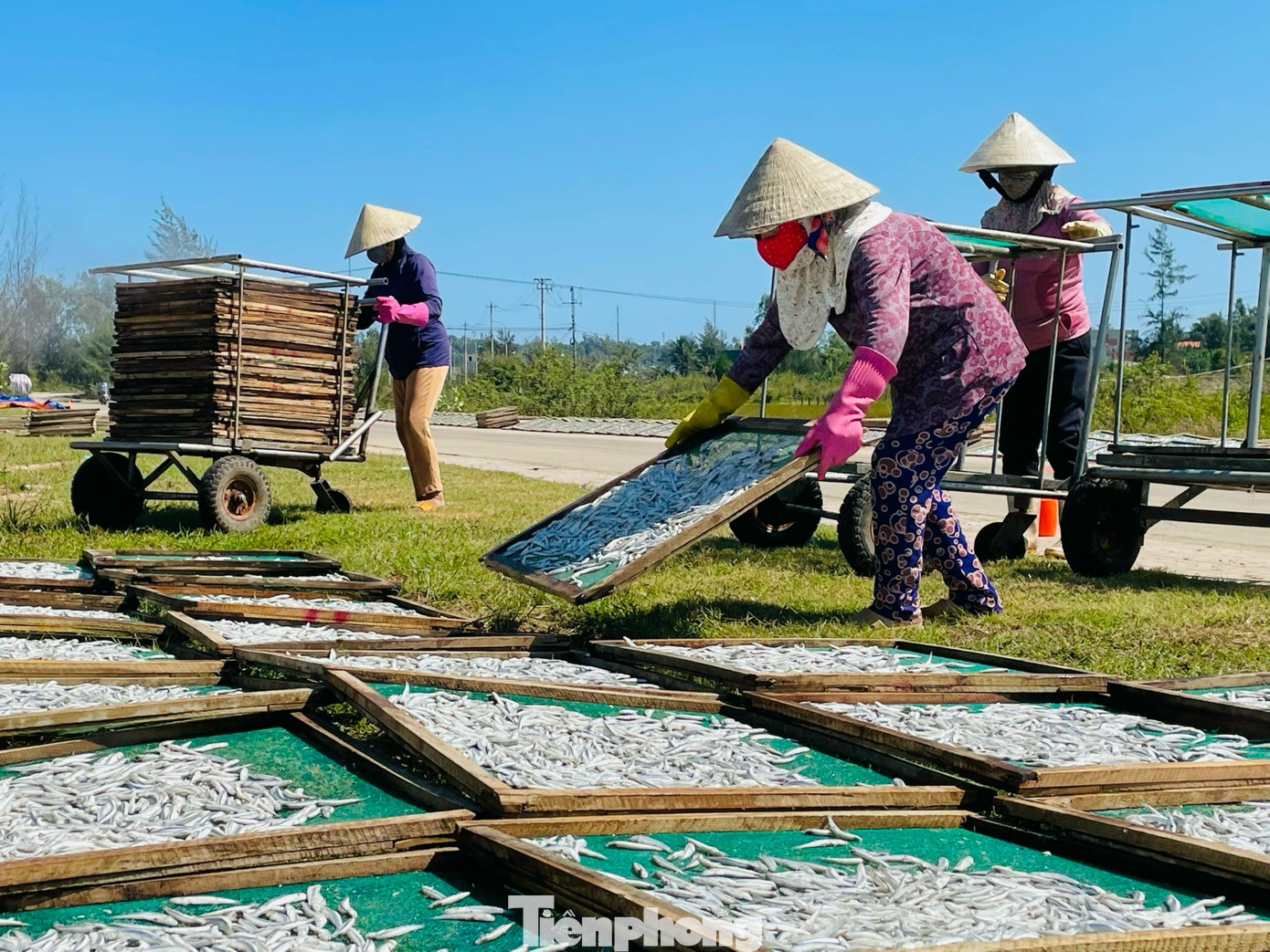 Trung bình một ngày, mỗi lao động ở đây có thu nhập từ 100-300 ngàn đồng. Ảnh: Nguyễn Ngọc