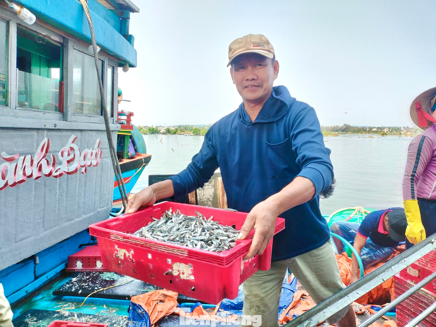 Ngư dân Trương Thanh An (trú xã Tịnh Kỳ) cho biết, sau một đêm ra khơi, anh cùng 5 thuyền viên khác khai thác được 8 tấn cá cơm. Với giá cá như hiện tại, sau khi trừ các khoản chi phí mỗi thuyền viên được chia từ 3-4 triệu đồng. “Tuy nhiên nghề đánh bắt cá cơm rất vất vả, bởi ngư dân phải làm việc trắng đêm, nhưng bù lại lợi nhuận cao, nên ngư dân rất phấn khởi”, anh An nói. Ảnh: Nguyễn Ngọc.